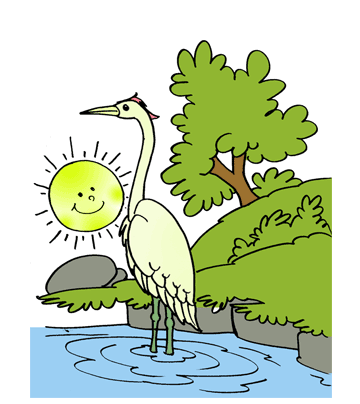Heron 1 Coloring Pages