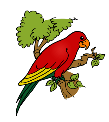Parrot 1 Coloring Pages