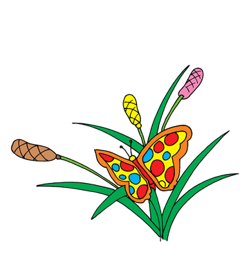 Butterfly Wings Coloring Pages