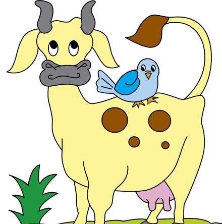 Cow With Bird Coloring Pages