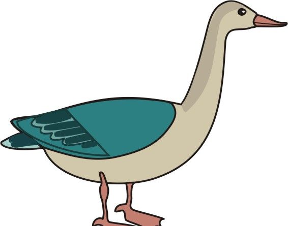 Animated Geese