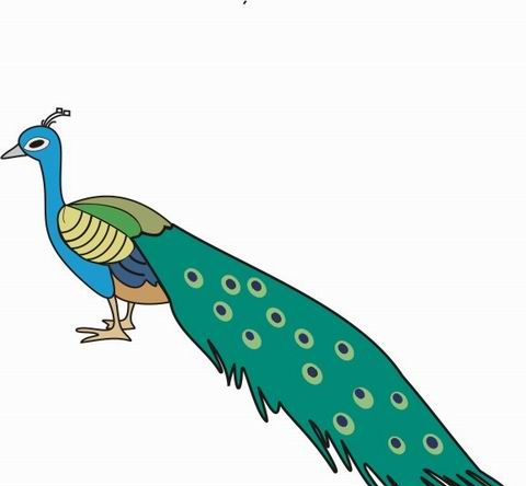 Peacock Coloring Pages on Peacock Coloring Pages For Kids To Color And Print