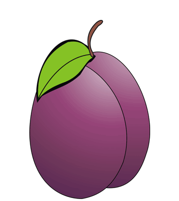 Plum Coloring Page